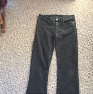 Patagonia Gray Cords